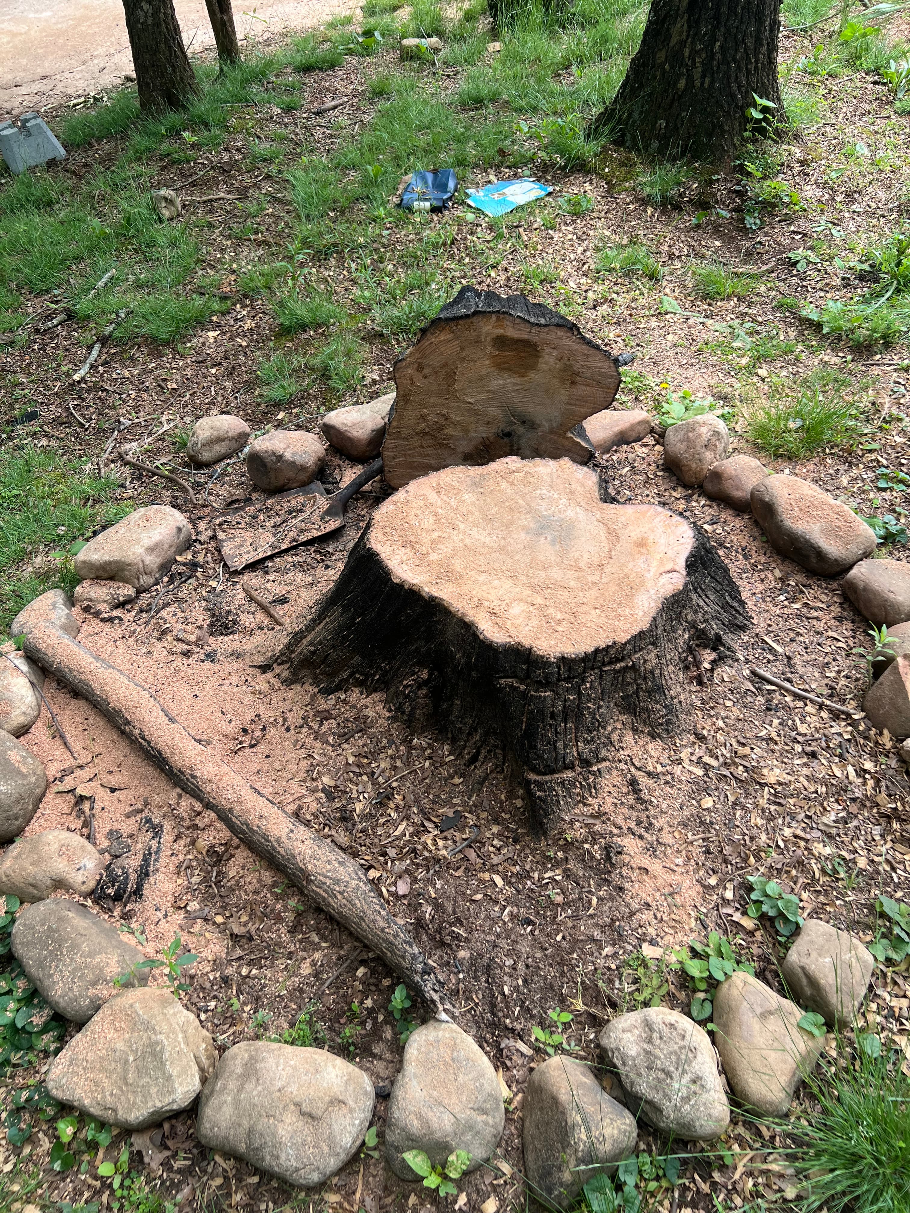 Stump Grinding in Chattanooga, TN by Stump Stewards