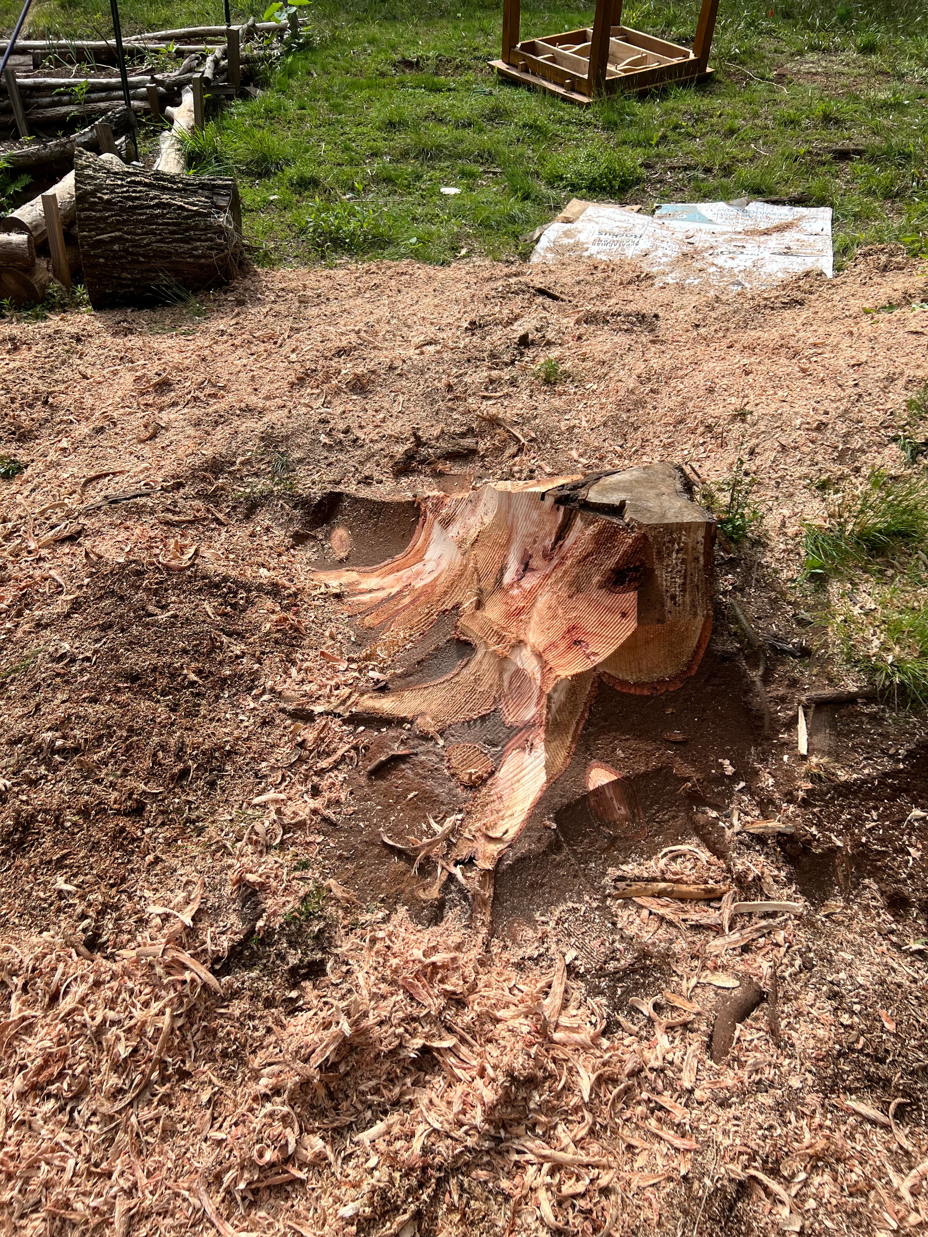 Stump Stewards crew finishing a clean lawn stump grinding project in Ooltewah, TN