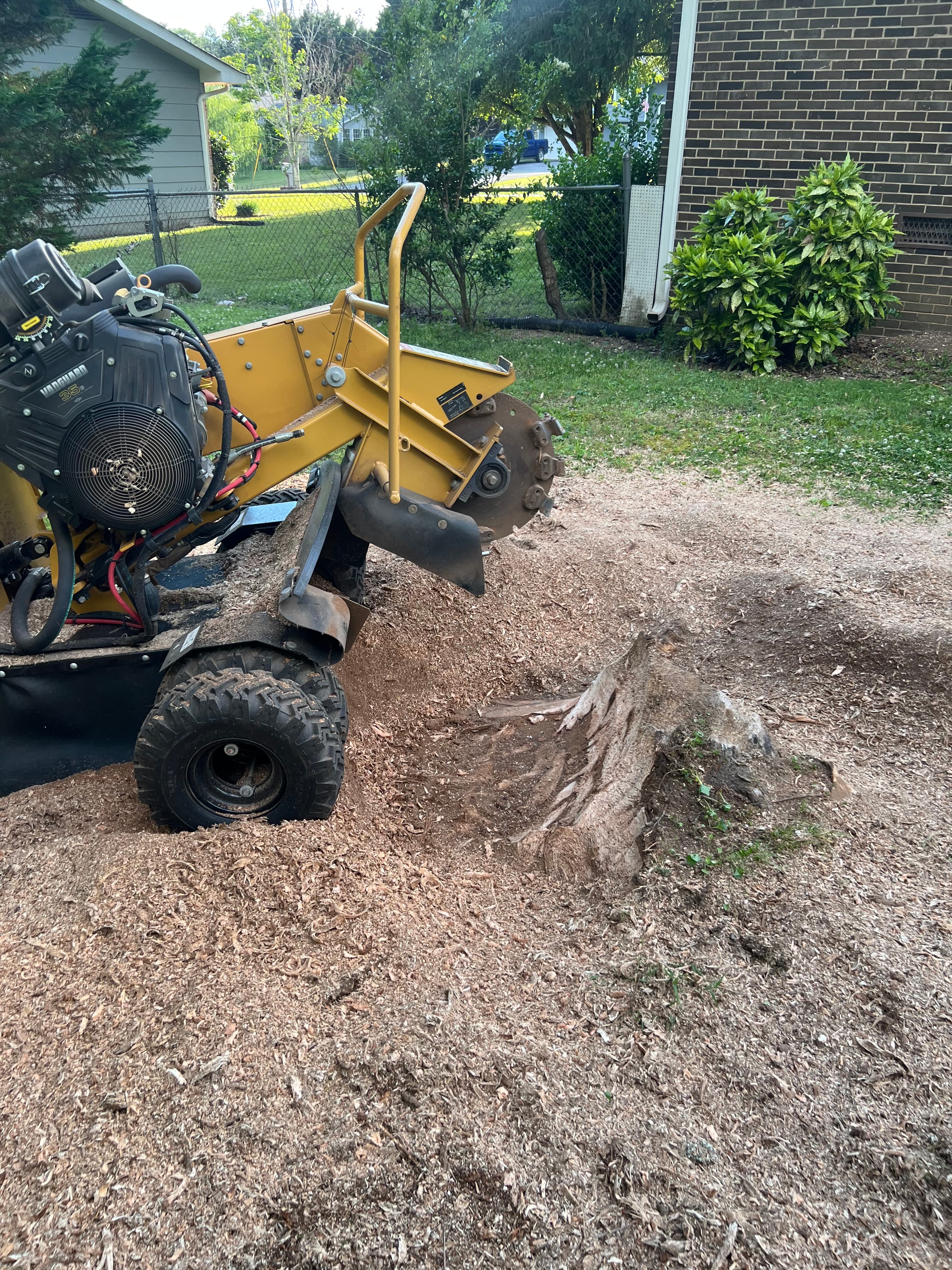 Stump Stewards high-horsepower commercial gas wheeled stump grinding machinery clearing a field of large pine stumps in Soddy-Daisy, TN
