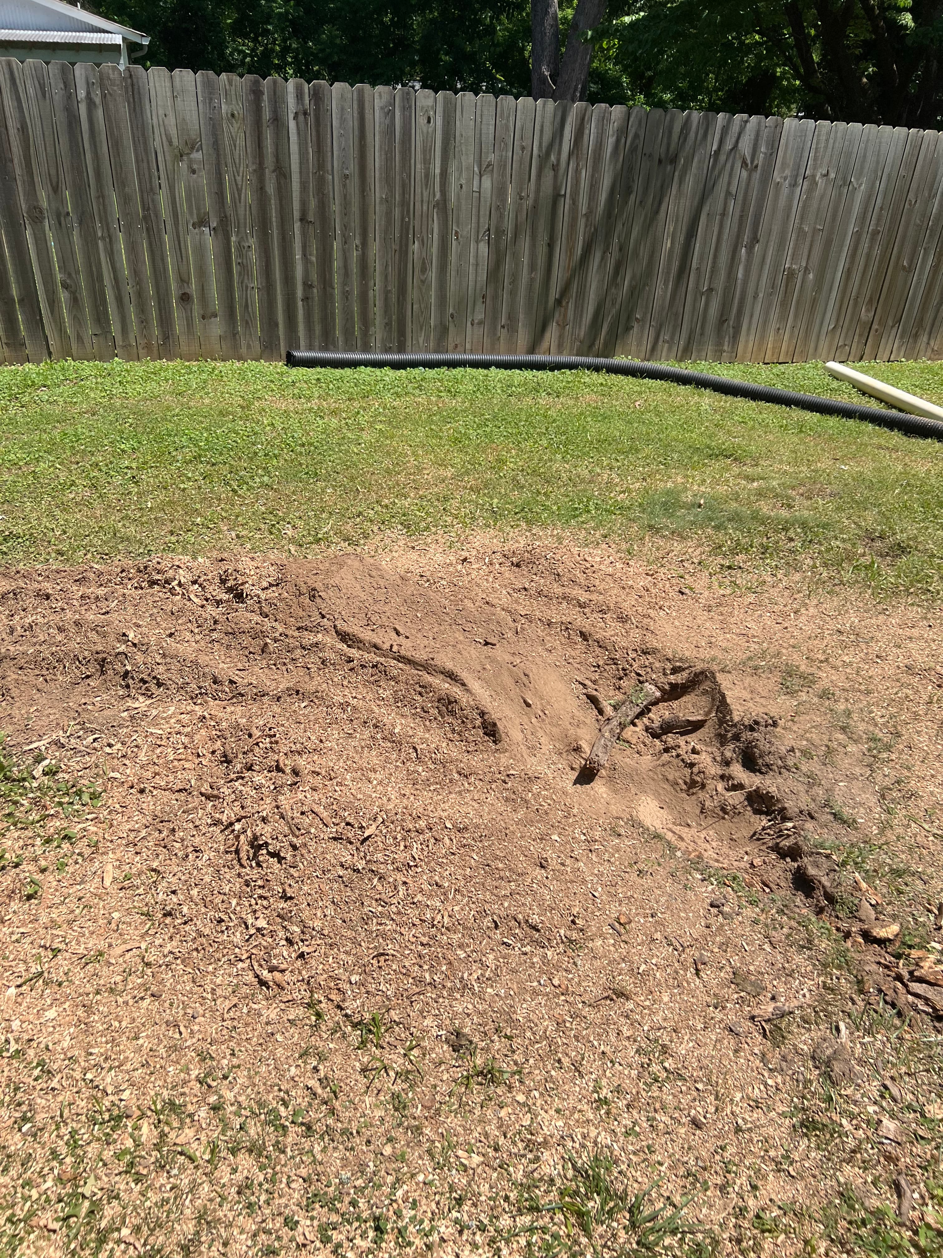 Clean, flat ground after professional stump grinding