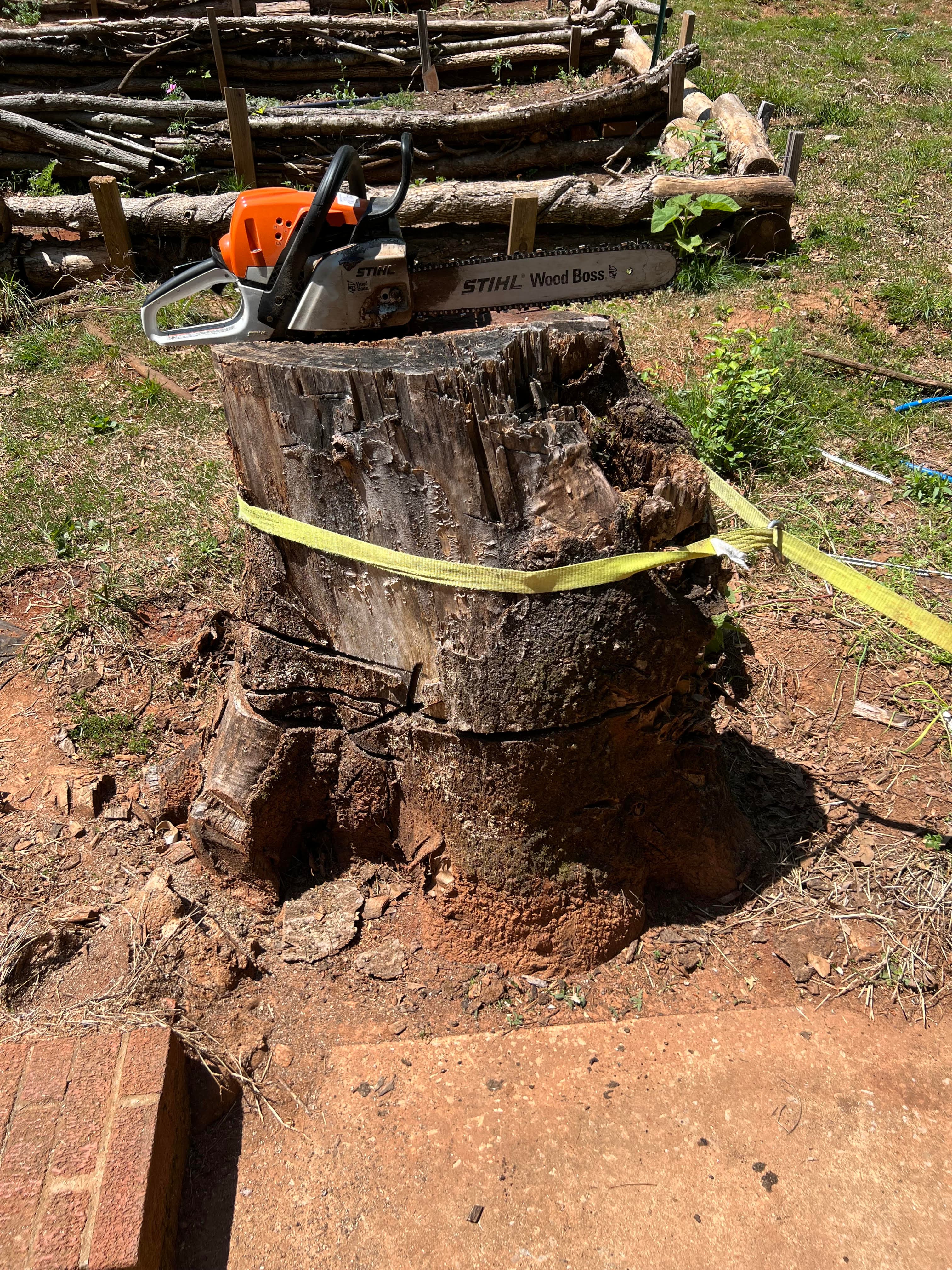 Commercial & Lot Clearing in Chattanooga, TN by Stump Stewards